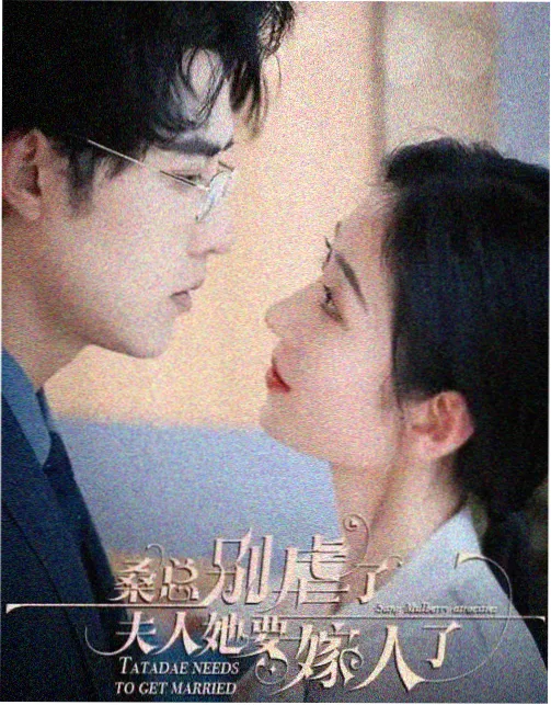 言情小说她住在雨声里在线阅读封面